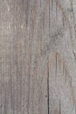 Yönetim Kurulu'nda ağaç yapısı