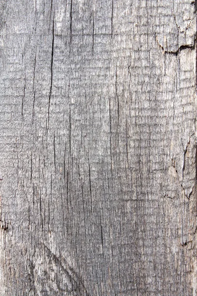 tree structure on the Board