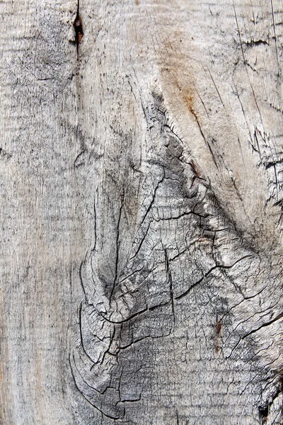 tree structure on the Board