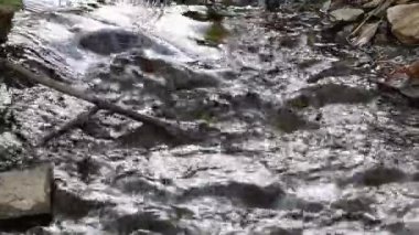 büyük ağaçların gölgesinde dere akan ve güneşte parlayan kristal berraklığında su