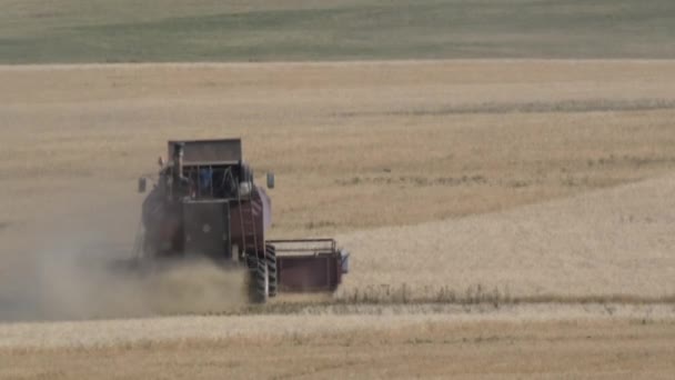 Kombiniert Arbeit Auf Dem Feld — Stockvideo