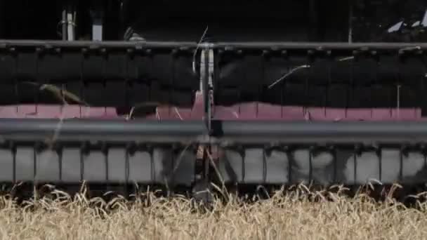 équipement de récolte travaille dans les champs de blé (macro )