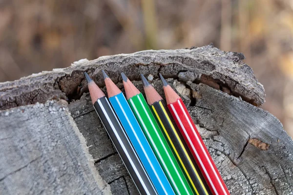 colored pencils on the background of a felled tree