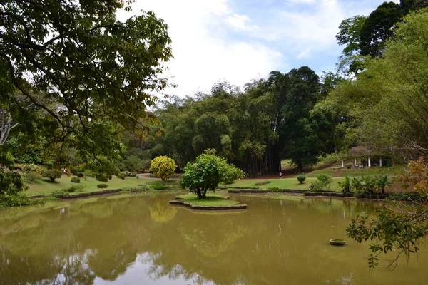 See Kandy Park — Stockfoto