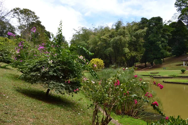 Botanic garden in Kandy