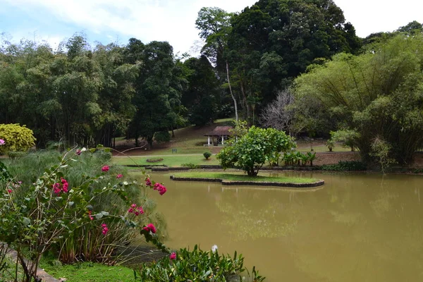 Botanischer Garten Kandy — Stockfoto