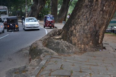 Doğa insanların karşı