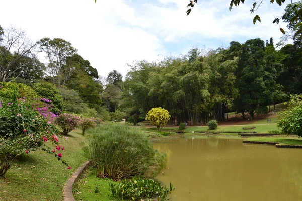 See Kandy Park — Stockfoto