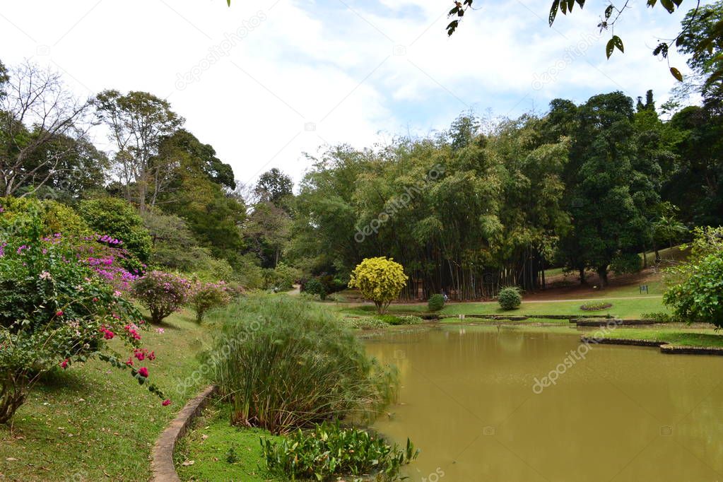 Lake in the Kandy park