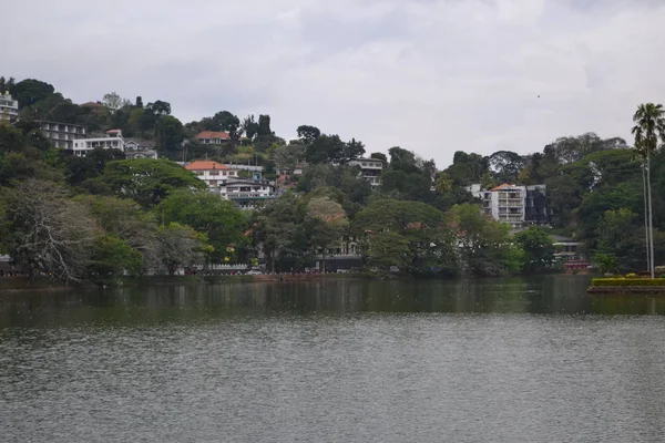 Live Küste Des Kandy Lake — Stockfoto