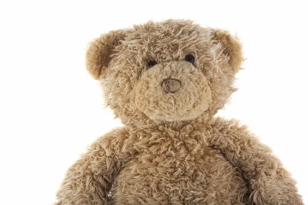 Teddy Bear Isolated White Background — Stock Photo, Image