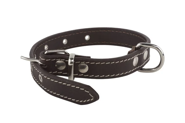 Braunes Hundehalsband aus Leder — Stockfoto