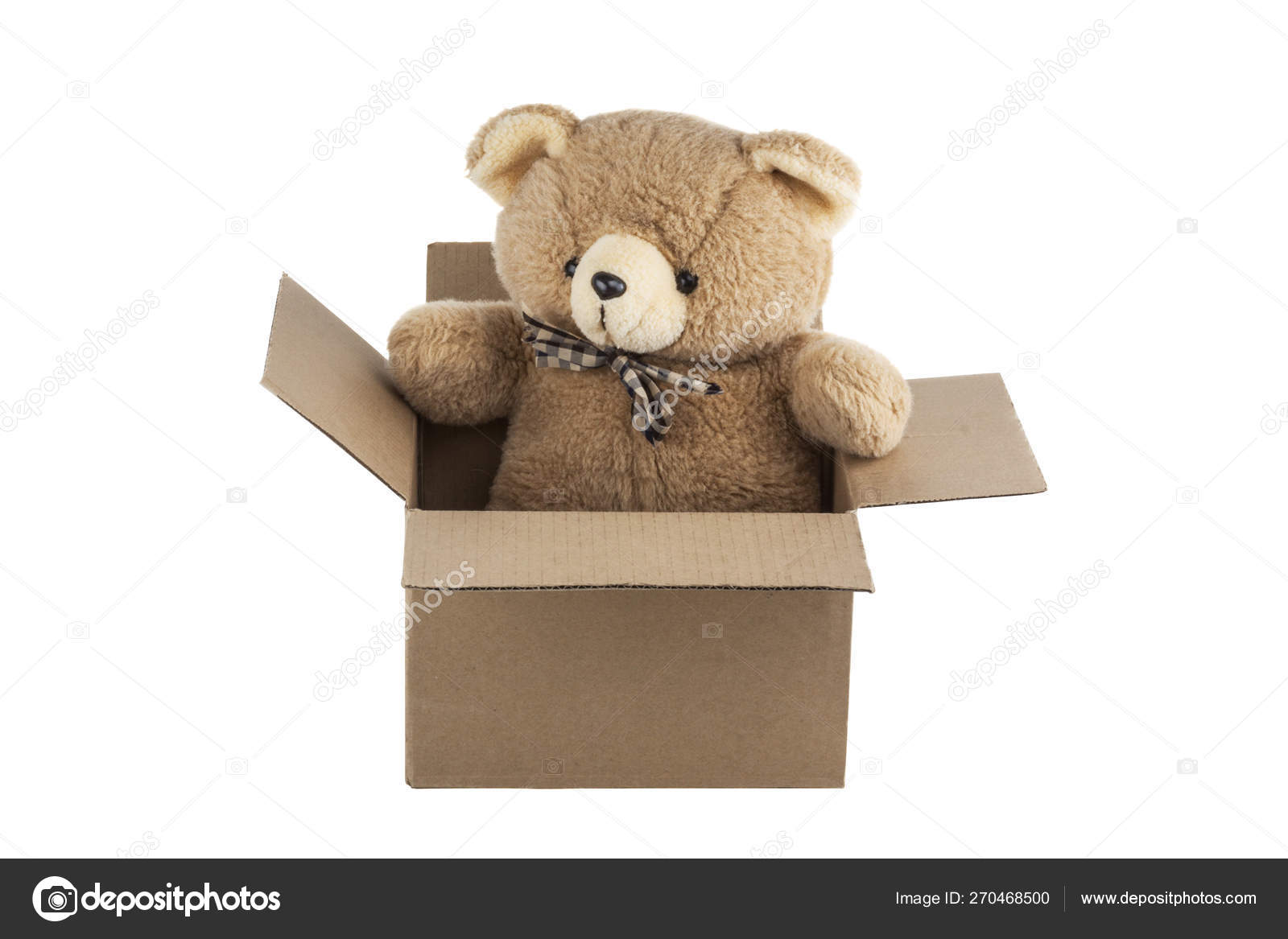 teddy in a box