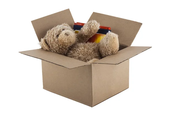 Медведь Тедди в картонной коробке изолированы на белом фоне — стоковое фото