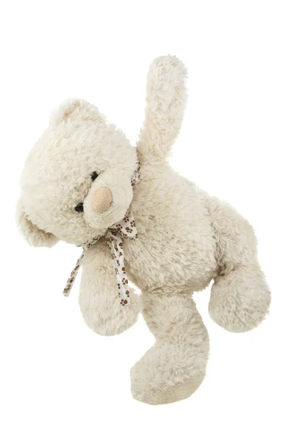 Teddy bear isolated on white background — Stock Photo, Image