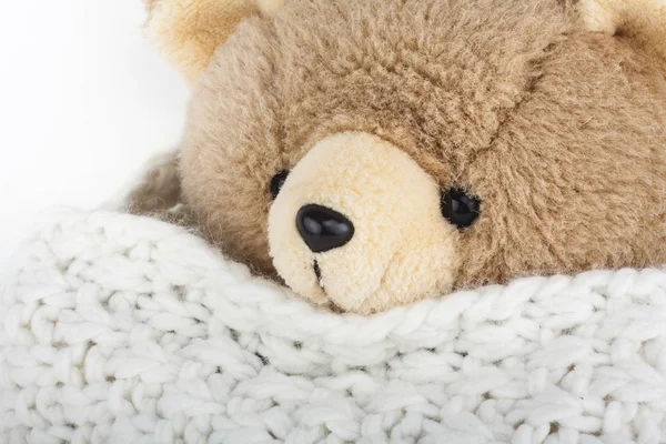 Fluffy teddy bear with winter wool scarf — Stock Photo, Image