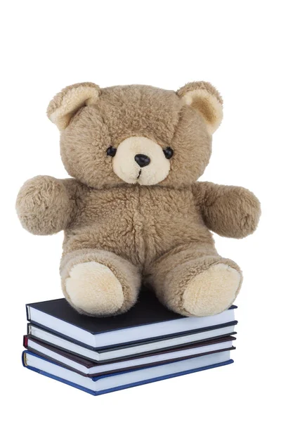 Teddy Bear sitting on books isolated on white background — Stock Photo, Image