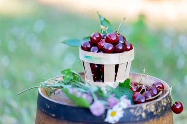 Bir sepet içinde tatlı kırmızı kiraz ve yaz aylarında bir meyve bahçesinde ahşap bir şarap varil üzerinde yabani çiçekler. Kopya alanı. Yumuşak odaklama.