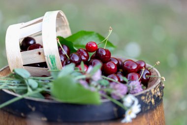 Bir sepet içinde Kiraz ve yaz aylarında bir bahçede ahşap şarap varil üzerinde yabani çiçekler. Kopya alanı. Yumuşak odaklama.