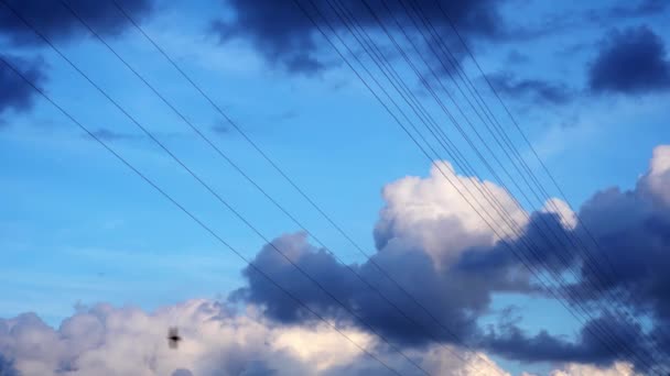 하늘을 배경으로 고전압 전선이 떠다니는 구름과 새들이 날아다닌다 에너지 네트워크의 — 비디오