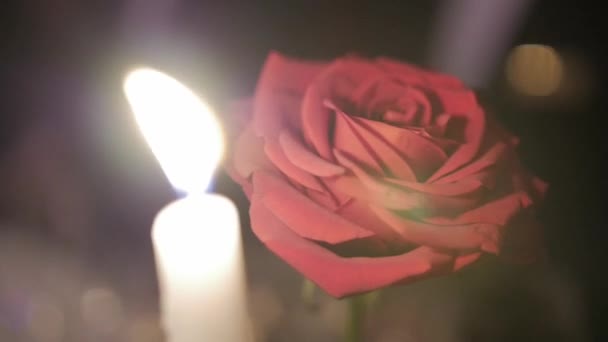 Rose Rouge Illuminée Par Une Bougie Allumée — Video