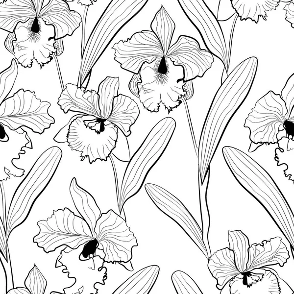 Seamless orchid flowers cattleya sketched pattern white