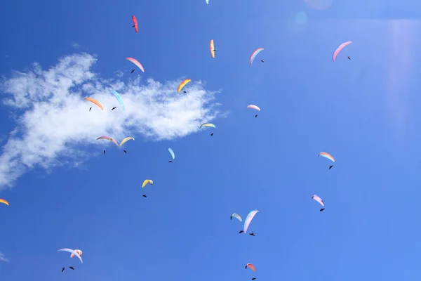 Un grupo de paracaidistas vuelan en parapente sobre los Alpes italianos —  Fotos de Stock