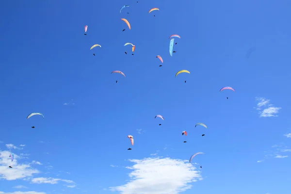 A group of paratroopers fly paragliding over the Italian Alps — Stock Photo, Image