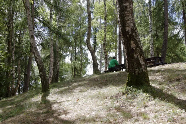 Un hombre se sienta en un banco de madera en una zona de picnic en medio del bosque —  Fotos de Stock