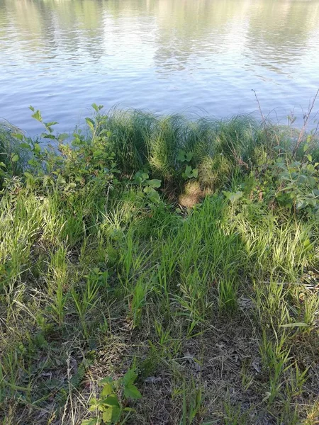 Doğa, güzel fotoğraf, zihinsel, güzellik