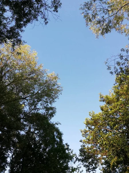 Doğa, güzel fotoğraf, mavi gökyüzü ve güzel hava