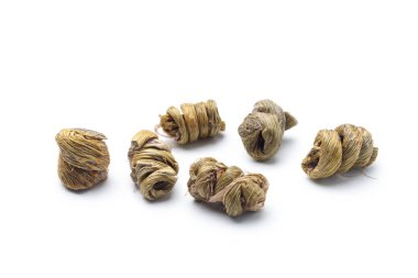 Dendrobium candidum, bir değerli Çin bitkisel ilaç ve tonik.