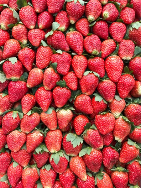 Frische Erdbeere Obst Hintergrund — Stockfoto