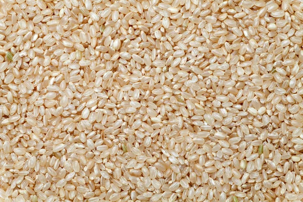 Hnědá Rýže Textura Pozadí Potravin — Stock fotografie