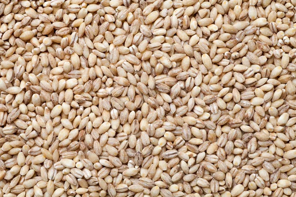 Close Peeled Barley Food Background — Stock Photo, Image