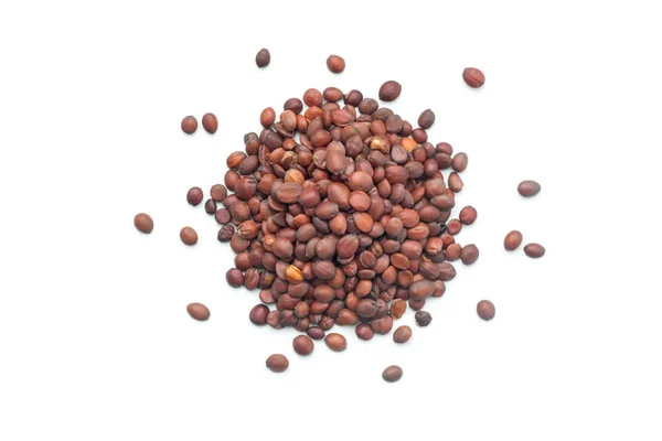 乾燥ナツメ種子 スアン 蔵王蓮 白背景に 漢方薬 — ストック写真
