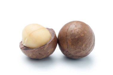 Beyaz arka planda izole macadamia fındık yakın çekim