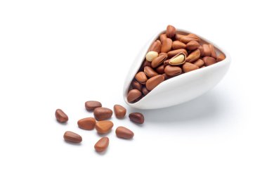 Beyaz arka plan üzerinde izole seramik kaşıkçam fıstığı