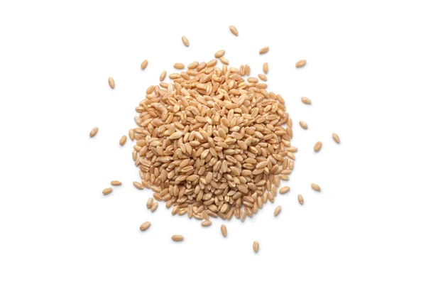 Pile Wheat Grains Isolated White Background Top View — Stock Photo, Image