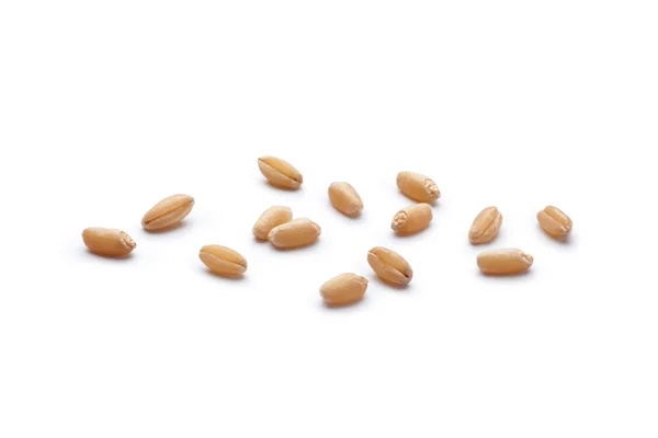 白い背景に隔離された小麦粒のクローズアップ — ストック写真