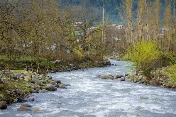 Krásná Krajinářská Bystřina Pahalgam Vesnice Laripora Jaře Jako Ráj Zemi — Stock fotografie