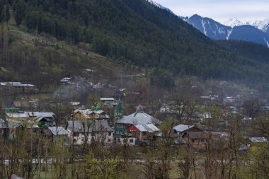 Müslümanlar için Laripora köyünde Jamia Camii veya İslam ibadetleri pahalgam ağaçları ile vadi boyunca mimari renkli eski cami kubbeleri ile sahip, Jammu ve Keşmir, Hindistan