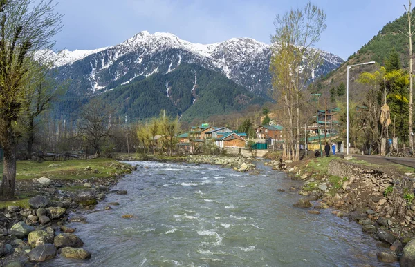 Piękny Krajobraz Naturalnego Strumienia Rzeki Lidder Góry Himalayas Przechodzącej Wsi — Zdjęcie stockowe