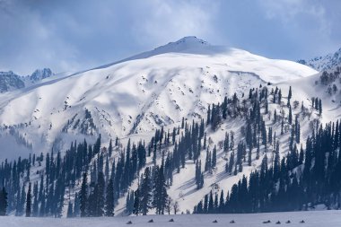 Gezgin kış gününde güzel dağlar ile alp ormanı yakınındaki derin karda snowmobiling parça sürüş aktivite spor ve tatil ya da tatil eğlence minimalist tarzı resim insanların rekreasyon