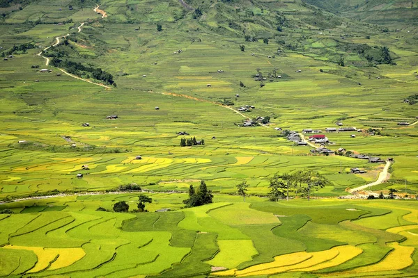 Wioska Rolników Wiejskich Tradycyjnymi Polami Ryżowymi Regionie Sapa Północnym Wietnamie — Zdjęcie stockowe