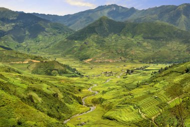 Sapa bölgesinde geleneksel pirinç terası alanları, Kuzey Vietnam