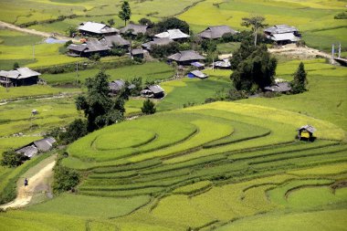 Sapa bölgesinde Geleneksel pirinç tarlaları ile kırsal çiftçilerin Köyü, Kuzey Vietnam