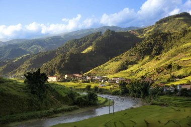Sapa bölgesinde geleneksel pirinç terası alanları, Kuzey Vietnam