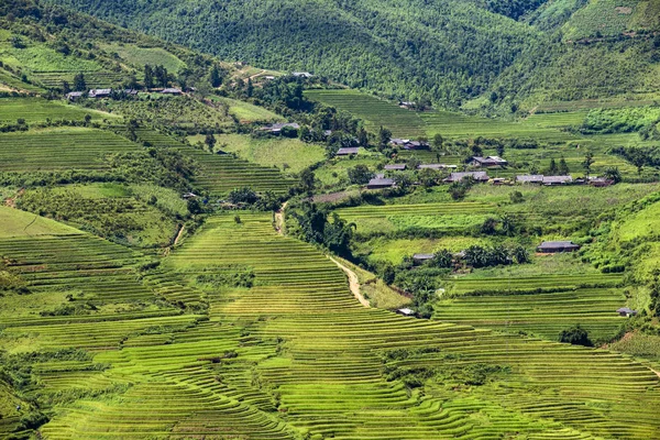 Campos Tradicionales Terraza Arroz Región Sapa Norte Vietnam — Foto de Stock