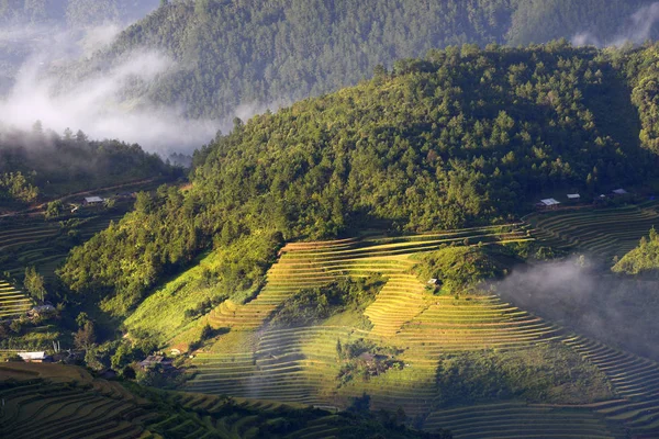 Campos Tradicionales Terraza Arroz Región Sapa Norte Vietnam — Foto de Stock